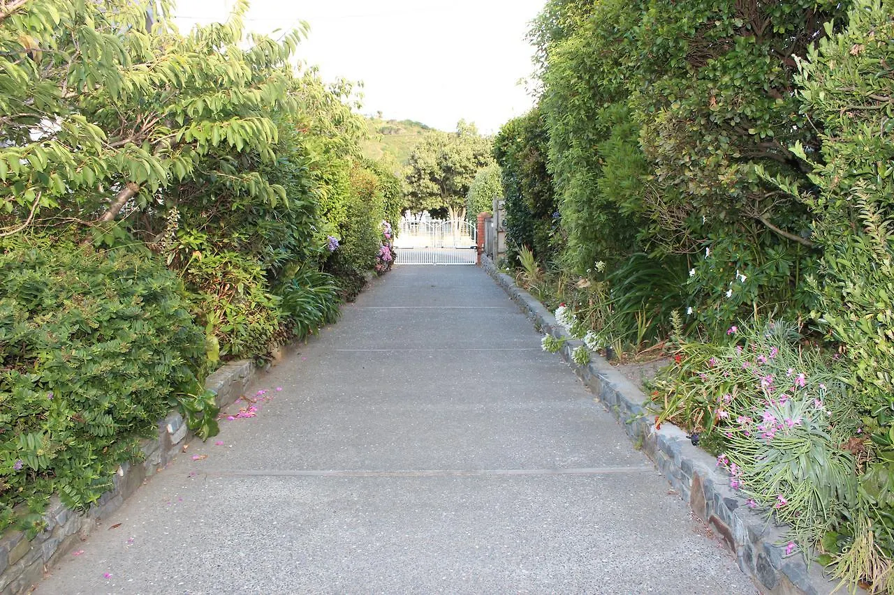 Casa Felina Apartment Wellington